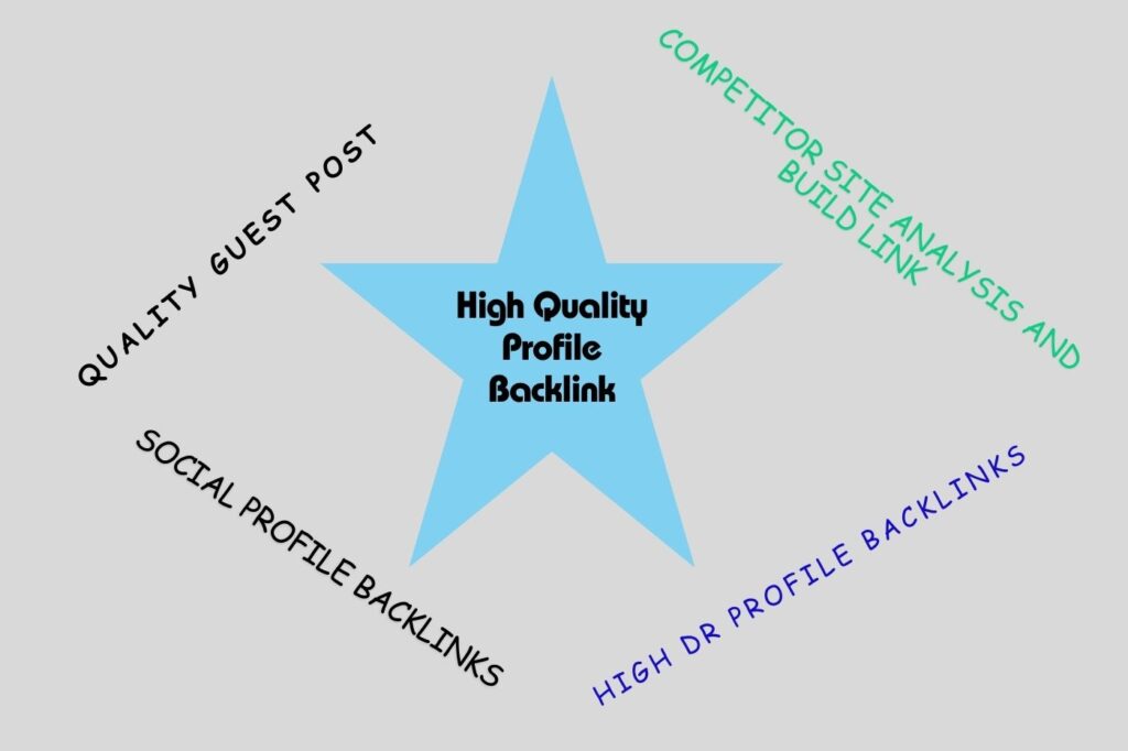 High Quality Profile Backlink Service